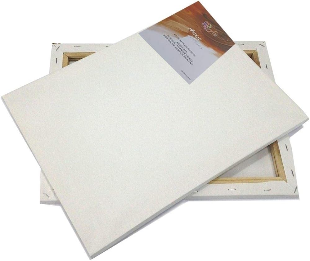 FOS Canvas Board 280 GSM 20 x 30