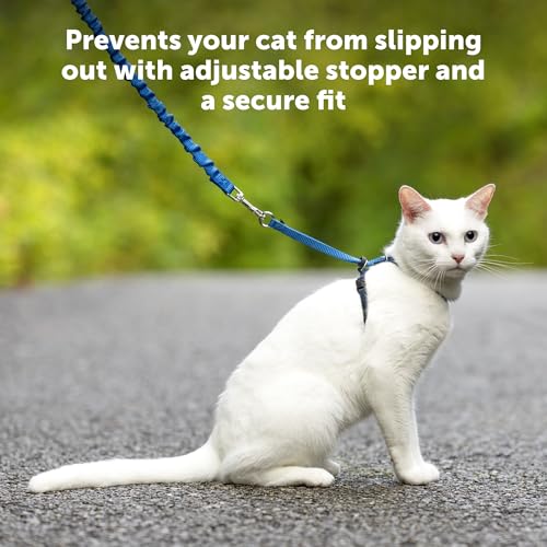 PetSafe Come with Me Kitty Harness and Bungee Leash, Medium, Red