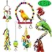 PETUOL Bird Swing Toys, 5 Colorful Hanging Loofah Toys for Small to Medium Parrots, Parakeets, and Lovebirds