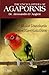The Encyclopedia of Agapornis - Lovebirds