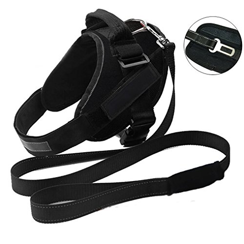Dog Harness Anti-injured Adjustable Durable Heavy Duty Dog Vest & Leash Collar Set/Vehicle Dog Seat Belt built-in Flashlight Holders for Medium and Large Dog,for Daily Training Walking Running,Black