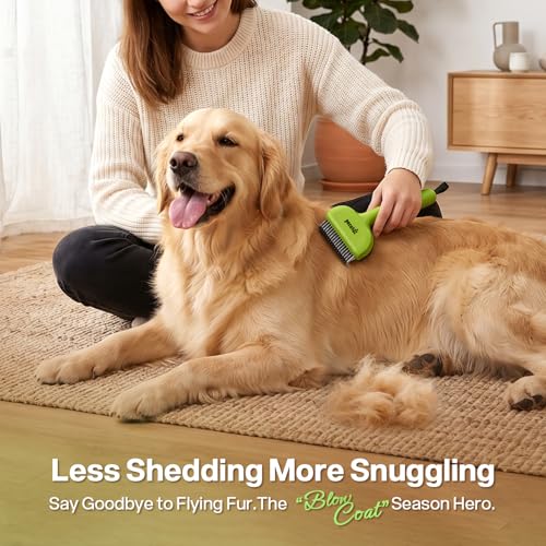 pecute Dead Hair Rake with Pet Combs, Self-Cleaning Undercoat Brush, Undercoat Undercoat Brush, Grooming Kit for Dogs Cats Stainless Steel for Long Hair(Green)