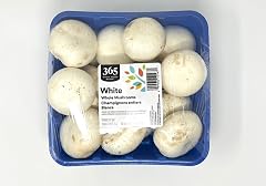 Phillips, Mushroom White, 24 Ounce