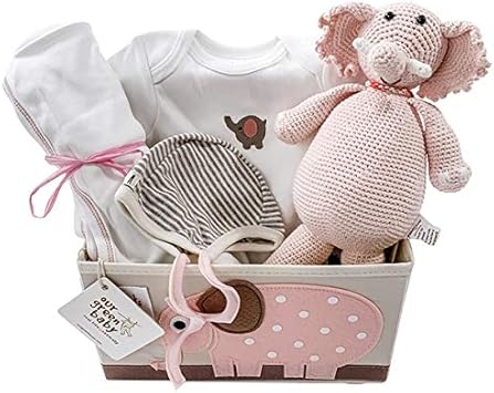 amazon new baby gift basket