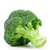 Broccoli Calabrese 25 Heirloom Seeds Non GMO