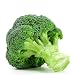 Broccoli Calabrese 25 Heirloom Seeds Non GMO primary