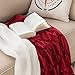 Sherpa Blankets Throws for Womens Girls Faux Furs Fleeces Youth Mens Winter Boyfriends Valentines Fuzzy Soft Warm Plush Fluffy Pretty Washable Cozy TV Blanket, Travel Size 50x60 Rust Red