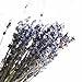 100stems Real Natural Dry Lavender bunch Dried Flower,Decorative Flowers Bouquet for Wedding Home Decorations Valentine's Day Gifts (100)