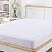 Mattress Protector FDA Registered 100% Waterproof Hypoallergenic Twin Size, Dust Mite Protection, Breathable and Machine Washable, Vinyl Free