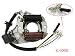2 Coil Stator Ignition Magneto Plate for 50cc 70cc 90cc 110cc 125cc ATV Quad 4 Wheeler Chinese Taotao Sunl JCL