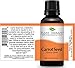 Plant Therapy Carrot Seed Essential Oil 100% Pure, Undiluted, Natural Aromatherapy, Therapeutic Grade 30 mL (1 oz)