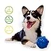 R2P Group Zany Bunch Zany Ball - Wiggling, Jiggling, Electronic Dog Toy