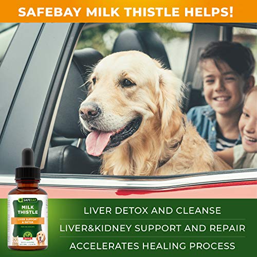 Milk Thistle Natural Liver Support & Detox for Dogs and Cats Made