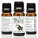 BioFinest Myrtle Oil - 100% Pure Myrtle Essential Oil - Soothe Cough - Premium Quality - Therapeutic Grade - Best For Aromatherapy - FREE E-Book (10ml)