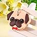 Super Funky Dog and Cat Key Key Identifier Key Covers, 4 Pack, Assorted in Color and