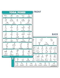 Juego de pósteres anatómicos para yoga y sistema muscular QuickFit   Juego de 2 gráficos laminados   Diagrama de anatomía muscular y rutina de ejercicio de posición de yoga (18.0 in x 27.1 in)