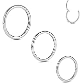 16G Cartilage Earring Nose Hoop Ring Titanium Helix Piercig Septum Ring Silver Lobe Hoop Earring 3 PCS Rook Ring Hinged Segment Seamless Clicker Ring Conch Tragus Lip Earrings 6 mm 8 mm 10 mm