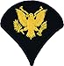 Specialist E-4 Army Chevrons - Gold on Blue