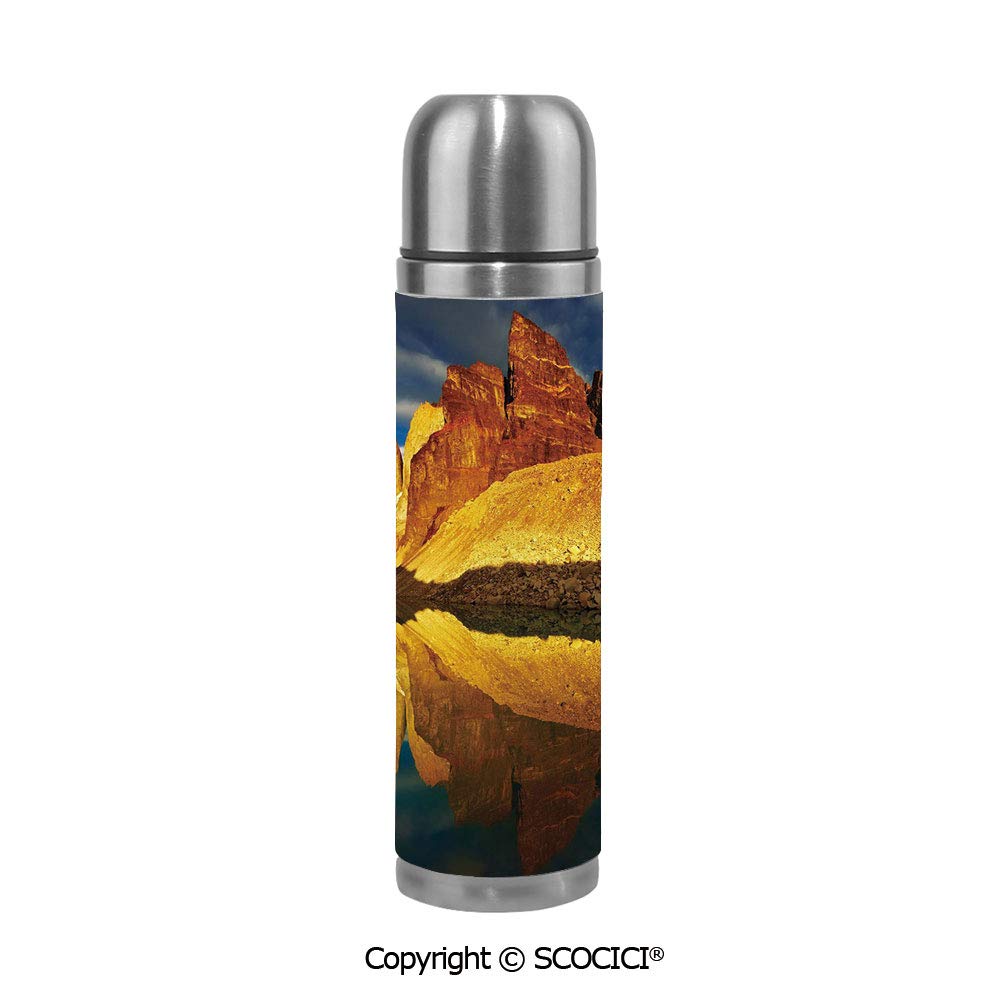 patagonia thermos