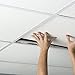 Genesis 2ft x 4ft Classic Pro Ceiling Tiles - Easy Drop-In Installation – Waterproof, Washable and Fire-rated - High-Grade PVC to Prevent Breakage (One Tile)
