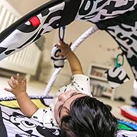 baby einstein bold new world gym