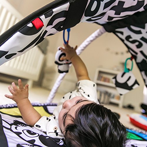 Baby Einstein Bold New World High Contrast Playmat, Newborns and Up