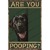 Bathroom Decor Vintage Are You Pooping Metal Sign Labrador Decor Funny Labrador Retriever Gifts For Toilet Bathroom 8x12 Inch