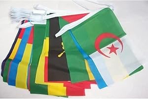 AZ FLAG 54 African Countries Bunting Flag, 20 Feet Garland with 54 Small 54 nations of Africa Flags 8'' x 6'', 100% Polyester