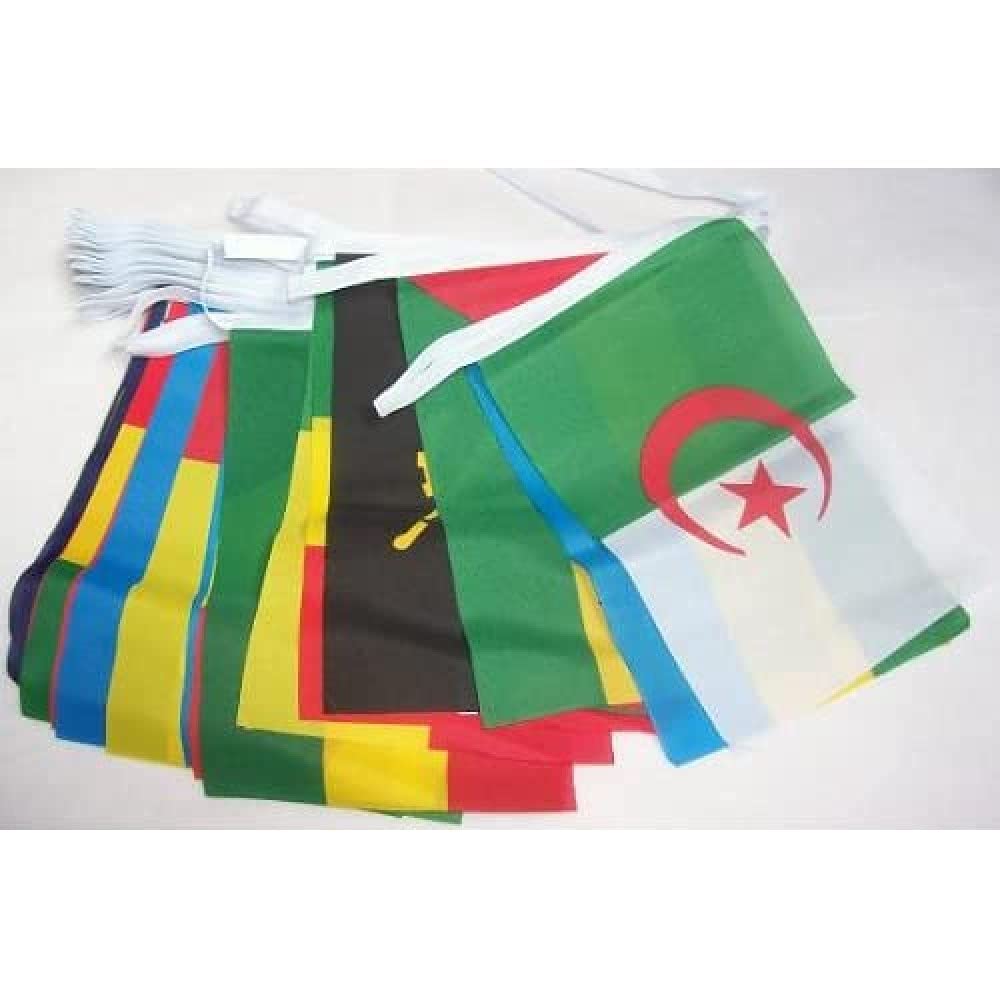 AZ FLAG 54 African Countries Bunting Flag - 20 Feet Garland 54 Small 54 nations of Africa Flags 8'' x 6'', 100% Polyester String Pennant, 6 meters — image 1
