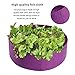 pannow Raised Garden Bed, Fabric Raised Planting Bed Round Garden Grow Bag for Herb Flower Vegetable Plants (Dia 24” x H 8”, Purple)thumb 3