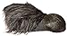 Beast or Goat (Satyr) Hooves (Grey) Hoof-Hearted Feet Adult Halloween Costume Accessory