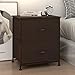 WLIVE Nightstand, 2 Drawer Dresser for Bedroom, Small Dresser with 2 Drawers, Bedside Furniture, Night Stand, End Table with Fabric Bins for Bedroom, College Dorm, Brown