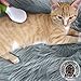 Cat Brush for Removes Loose Hair and Knots - Dog Brush for Removing Matted Fur - Grooming Tool with Bent Wire Bristles and Ergonomic Grip Handle - Best Pet Slicker Brush for Home Grooming Kit - Ebook