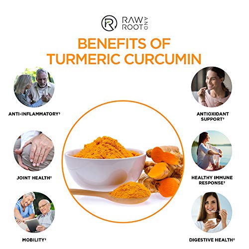 Turmeric Curcumin with BIOPERINE Black Pepper Extract Anti Inflammatory, Joint Support, 95
