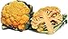 Cheddar Cauliflower 4 Plants - Contain 25 X Beta Carotene of White Varieties