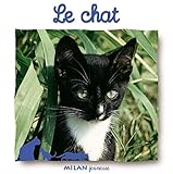 Le Chat by