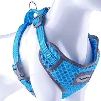 ThinkPet Reflective Breathable Soft Air Mesh No Pull Puppy Choke Free Over Head Vest Ventilation Harness for Puppy Small Medium Dogs and Cats Neon Blue Neck 6-9 in/Chest 10-13 in