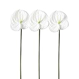 AtHomeYuyue 3pcs 22" Artificial Anthurium Lily