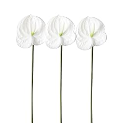 AtHomeYuyue 3pcs 22" Artificial Anthurium Lily