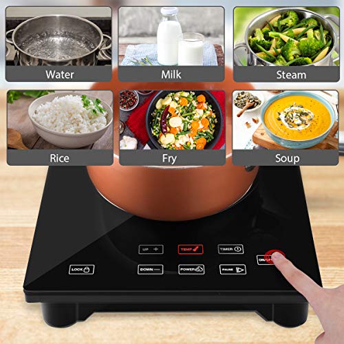 4 Induction+Countertop+CUSINAID+Stainless+Cookware