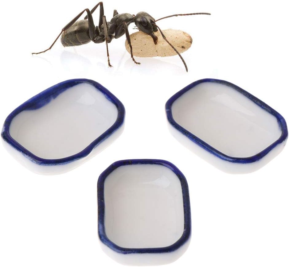 JINZHI 3pcs Ant Farm Feeder Insect Nest House Villa Water Food Bowl Feeding Container