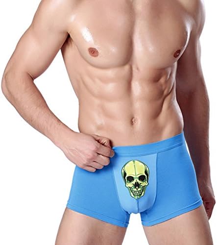 JUMUU Men's Cat Animal Print Stretch Underwear Bulge Pouch Boxers Briefs Underpants (Medium/29-31Waist, Blue Skull)