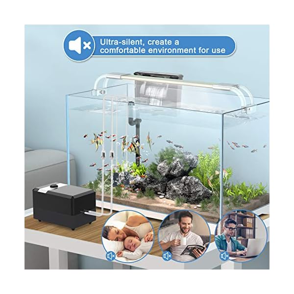 Zacro Aquarium Air Pump - Ultra Silent Oxygen Pump with Dual Outlet Adjustable Air Valve, Air Volume 2 * 5 L/min 6 W, Up…