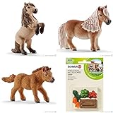 SCHLEICH Detailed Mini Shetty Horse Family of 3 Ponies (13775, 13776, 13777) with a Feed Set (42115) in a Clear Plastic Gift Bag Packed with Care
