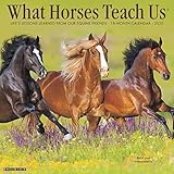 What Horses Teach Us 2020 Wall Calendar by