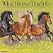 What Horses Teach Us 2020 Wall Calendar by
