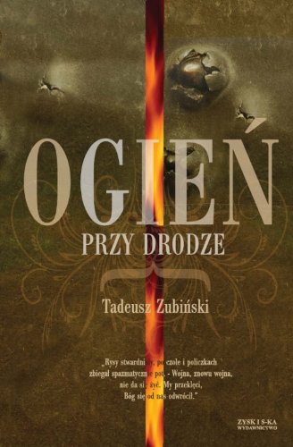 Ogien przy drodze