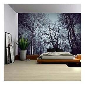 Gazing View of The Sky from The Inside of a Forest - Wall Mural, Removable Sticker, Home Decor - 100x144 inches