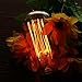 Vintage Edison Bulb KINGSO Dimmable 60W Edison Light Bulb Squirrel Cage Filament Incandescent Antique Light Bulb E26 Base ST64 110V - 6 Pack