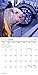 2016 Playful Pigs Mini Calendar
